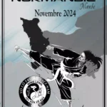 Affiche teasing 01 stage Normandie
