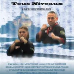 Affiche teasing 02 stage Normandie