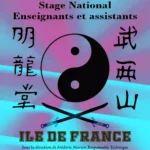 Affiche stage enseignants et assistants minh long france marolles en hurepoix 11 et 12 janvier 2025