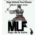 Affiche stage national Minh Long tous niveaux pays de la loire - 04 et 05 avril 2026 à St Herblain