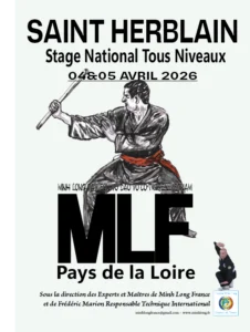 Affiche stage national Minh Long tous niveaux pays de la loire - 04 et 05 avril 2026 à St Herblain