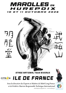 Affiche du stage tous niveaux en ile de France des 10 et 11 octobre 2026 à Marolles en Hurepoix